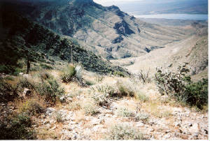 scan0031.jpg